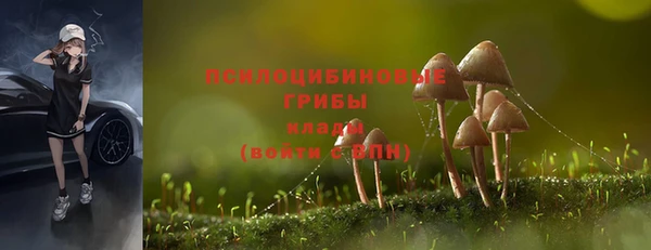 герыч Нея