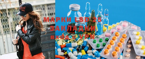 амф Новодвинск