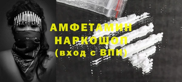 амф Новодвинск