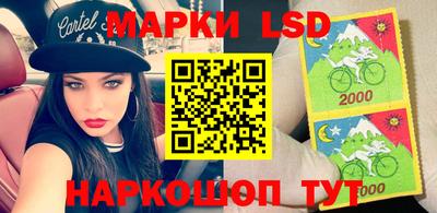 гашик Будённовск