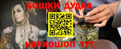 гашик Будённовск