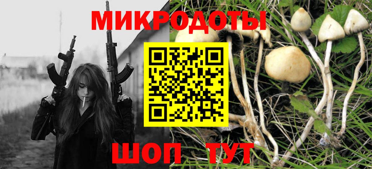 Гурьевск  Псилоцибиновые грибы мицелий  наркошоп  Галлюциногенные грибы MAGIC MUSHROOMS  Вход с VPN 