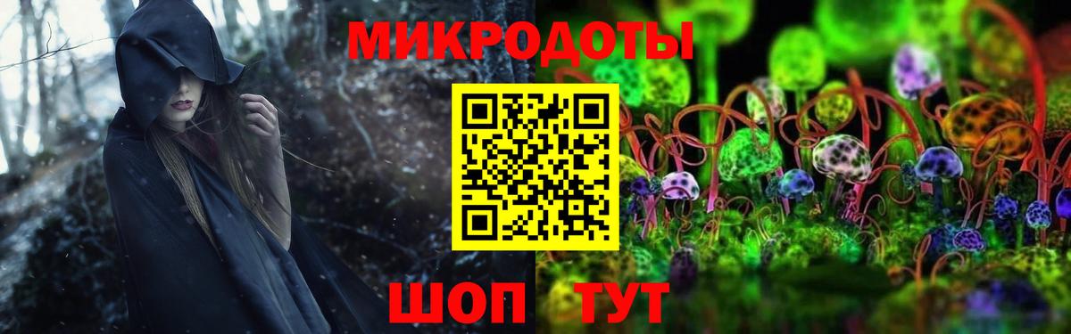 Галлюциногенные грибы Psilocybine cubensis  Гурьевск  Псилоцибиновые грибы GOLDEN TEACHER 